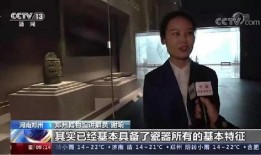 奶爸新闻广播爆料,揭秘育儿界惊人内幕