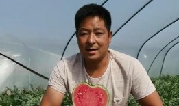 吃瓜吃到自己焦阳免费阅读,从旁观者到焦阳的意外旅程